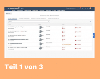 SAP PCC einrichten