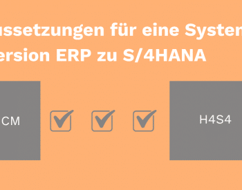 Drei Vorraussetzung ERP-Magrationsfähigkeit