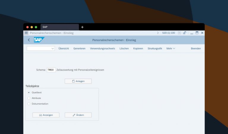 Das Artikelbild zeigt einen Screenshot aus einem SAP Personalverwaltungs-System
